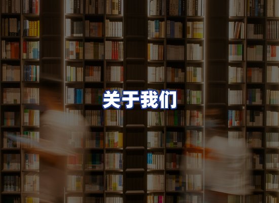 专业团队